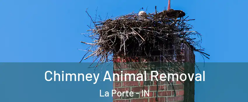 Chimney Animal Removal La Porte - IN