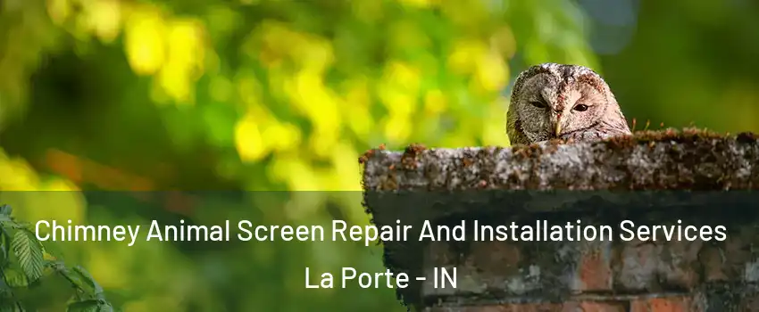  Chimney Animal Screen Repair And Installation Services La Porte - IN