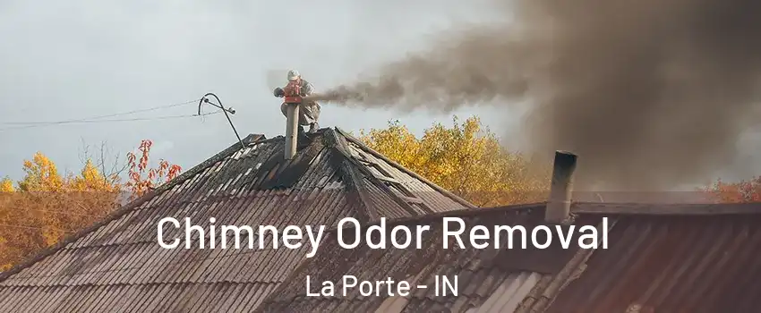  Chimney Odor Removal La Porte - IN