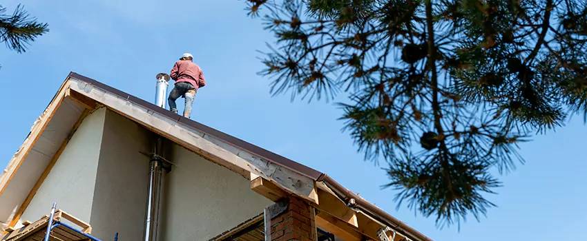 Birds Removal Contractors from Chimney in La Porte, IN