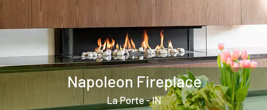  Napoleon Fireplace La Porte - IN